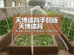 环境展示五