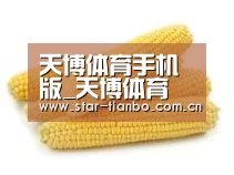 产品名称五