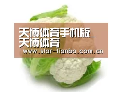 产品名称九