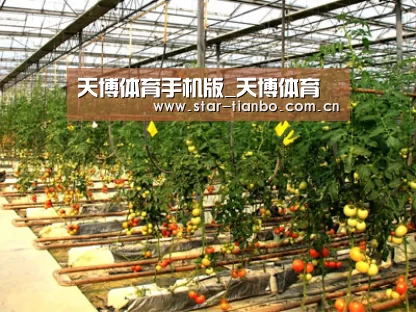 种植基地二