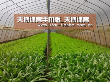 种植基地四