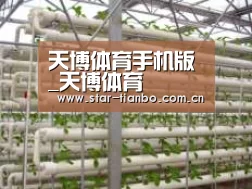 环境展示六
