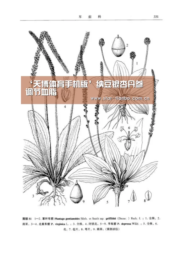 天博体育app