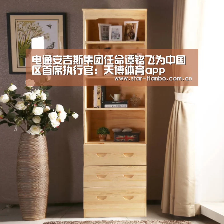 电通安吉斯集团任命谭铭飞为中国区首席执行官:天博体育app(图3) 天博体育官网