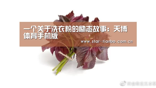 一个关于洗衣粉的励志故事:天博体育手机版(图1) 天博体育手机版