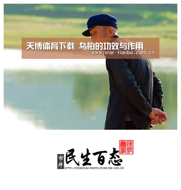 天博体育下载_乌桕的功效与作用(图3) 天博体育app