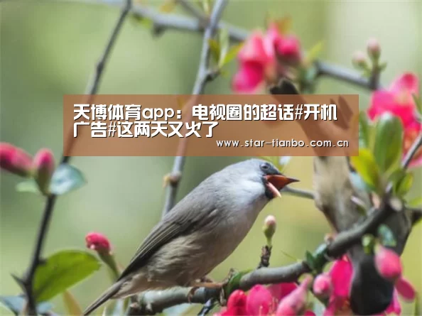 天博体育app:电视圈的超话#开机广告#这两天又火了(图4) 天博体育官网